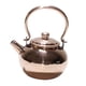thumbnail image 5 of Hervidor de Agua, Tetera con Infusor de Té, Utensilios Resistentes, Mini Tetera Hecha a Mano Versátil, 5 of 9