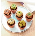 thumbnail image 4 of 10 Pcs Mini Clay Pots Small Terracotta Pots,Happon 1.5 Inch Mini Flower Pots Succulent Nursery Ceramic Pottery Planter Mini Plant Pots with Drainage Hole for Indoor Outdoor Cactus Craft Wedding, 4 of 8