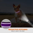 thumbnail image 5 of Collar de perro reflectante con hebilla de bloqueo de seguridad, collares ajustables de nailon para mascotas para cachorros MFZFUKR CPB-US-YY79-8, 5 of 5