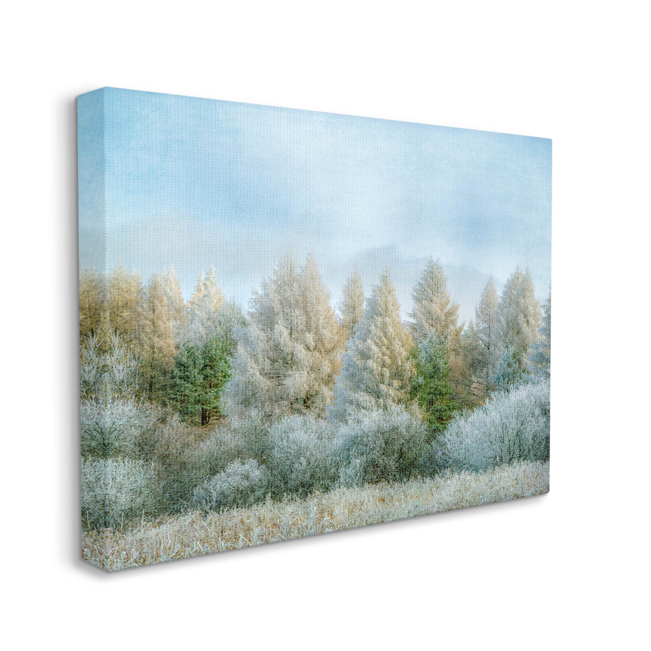 Woodland Grove Forest Trees Landscape Photograph Gallery Wrapped Canvas Print Wall Art