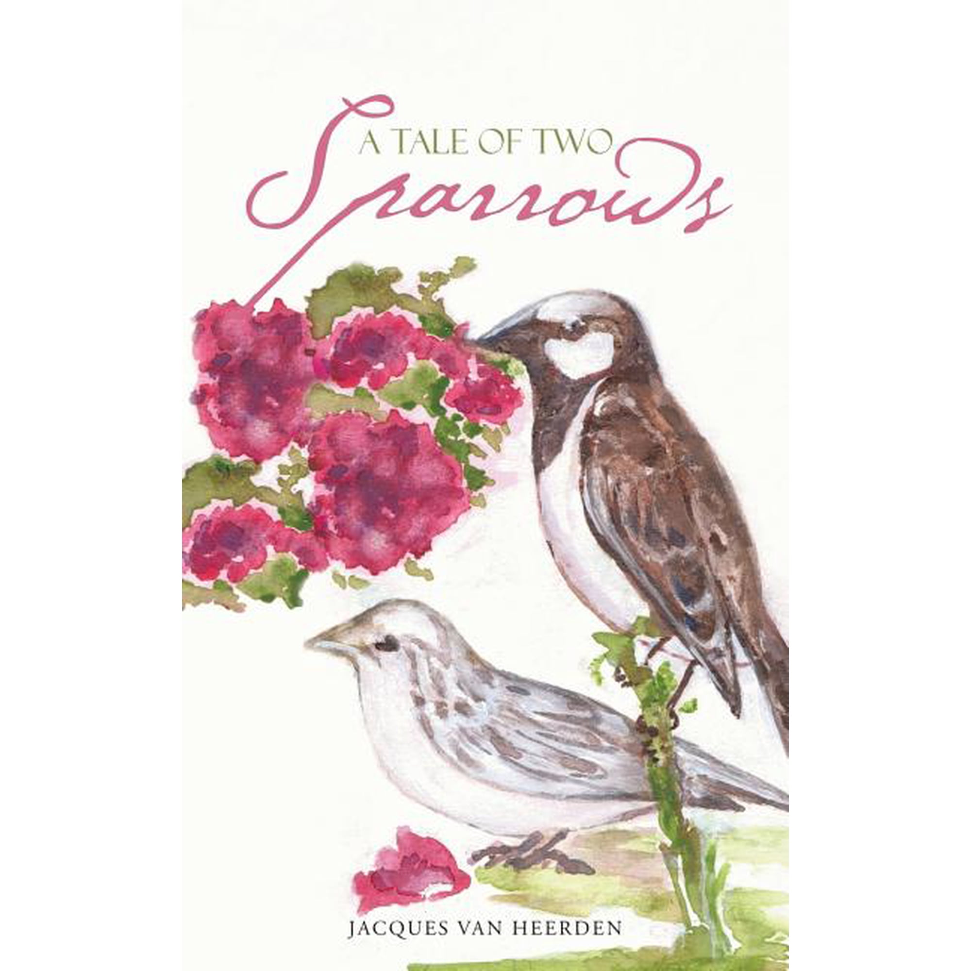 A Tale of Two Sparrows (Paperback)