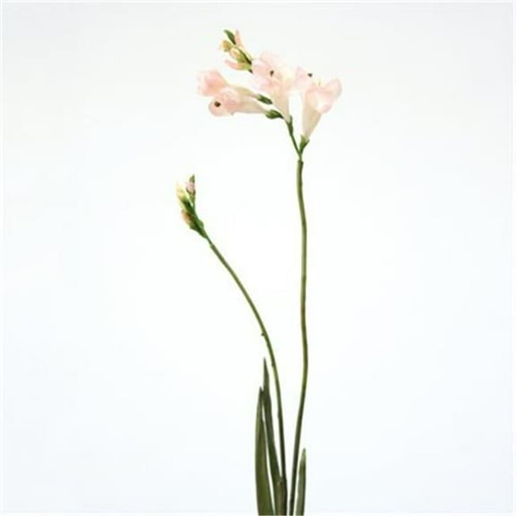 Distinctive Designs DI-673-CGPK DIY Flower Champagne Pink Freesia Spray x 2 - Pack of 24
