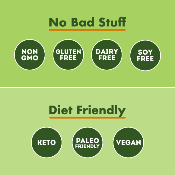 IQBAR Brain and Body Keto Protein Bars - Matcha Chai Keto Bars - 12-Count Energy Bars - Low Carb Protein Bars - High Fiber Vegan Bars and Low Sugar Meal Replacement Bars - Vegan Snack