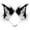 White, variant on Handmade Wolf Cat Ears Headwear for Party Cute Animal Themed Festival Celebration Accessory