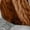 winter coats for women-Brown, variant on Guieoi Plus Size Fashion Winter Coats for Womens Warm Faux Coat Jacket Winter Zipper Long Sleeve Outerwear Brown