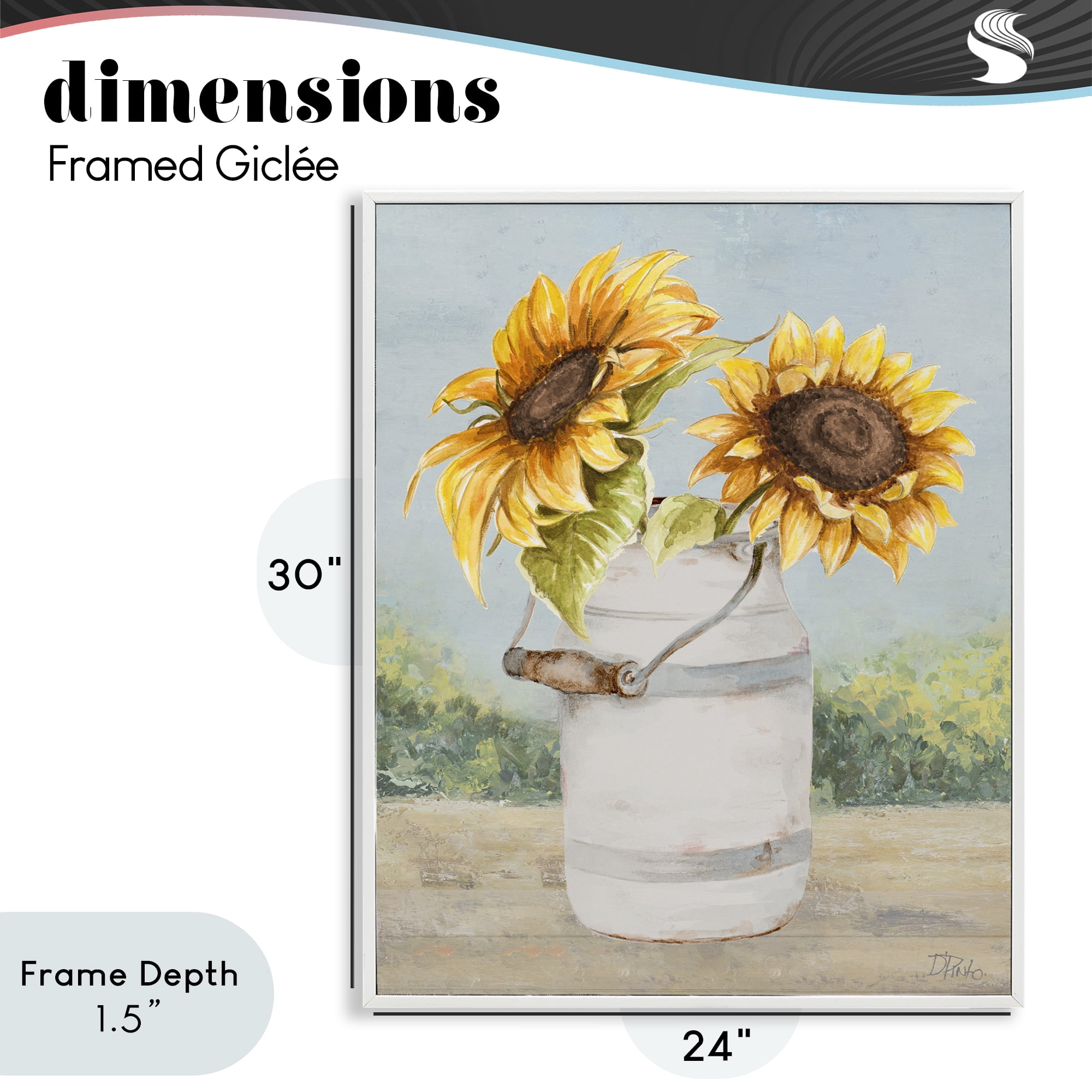 Stupell Industries Sunflower Pitcher in Country White Framed Giclee Art, design by Patricia Pinto