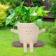 thumbnail image 4 of Swing Planter, Lindo Evite El Diseño de la Cara de Resina de Agrietamiento para la Olla de Flores Colgantes para Plantas de Interior, 4 of 7