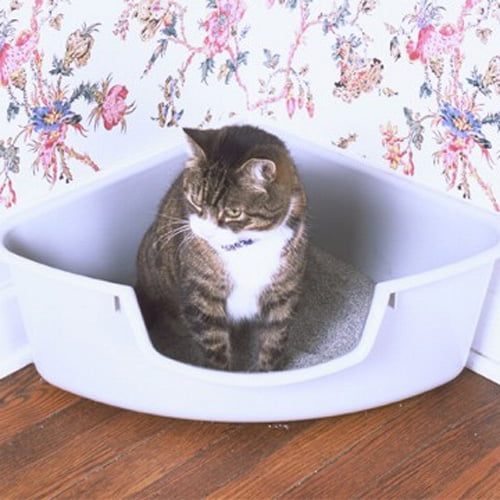 smartcat corner litter box