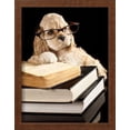 thumbnail image 2 of American Cocker Spaniel Wearing Reading Glasses, Framed Art Print Wall Art by Lilun Sold by Art.Com, 2 of 6