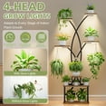 thumbnail image 3 of 66" Tall Plant Stand Indoor with Grow Light - 7 Tiered Metal Plant Shelf Indoor, Plant Stands for Indoor Plants Multiple, Tree Shaped Flower Stand Holder, Corner Plant Rack for Living Room, Patio, 3 of 9