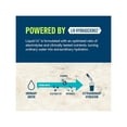 thumbnail image 3 of (Pack Of 32) Liquid Iv Hydration Electrolyte Drink Mix Sugar Free White Peach 0.45 Oz, 3 of 6