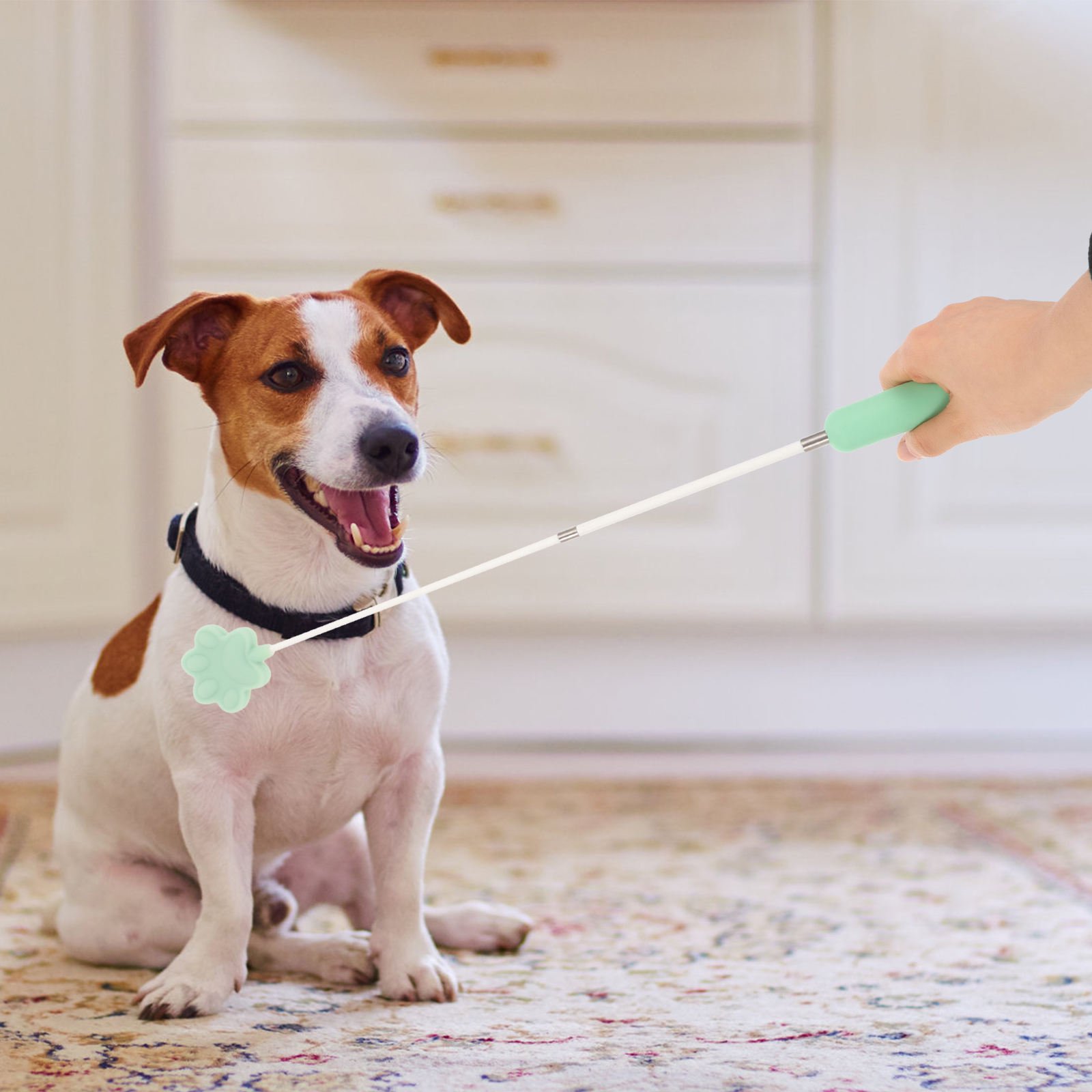 ELAYARD Pet Dog Training Stick Carbon Fiber Rod with Silicone Head for Indoor Dog Obedience Training Multi
