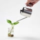 thumbnail image 3 of Regadera Acero Inoxidable 300ml con Cuello Largo para Plantas-- Sailing Electrónica, 3 of 4