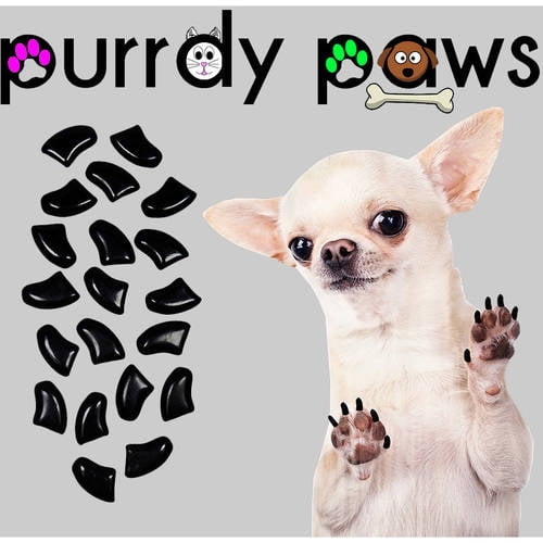 Why Is My Dogs Nail Black