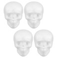 thumbnail image 3 of Halloween Skull Heads Hanging Decor Skull Face Statue DIY Enthusiasts Artistic Activities 4Pcs, 3 of 5