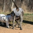 thumbnail image 2 of Female Dog Diaper Washable Dog Period Panties Comfortable Female Dog Diapers, 2 of 9