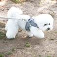 thumbnail image 4 of Skksst Pet Dog Ajustable Chest Harness Breathable Mesh Vest With Leash, 4 of 5