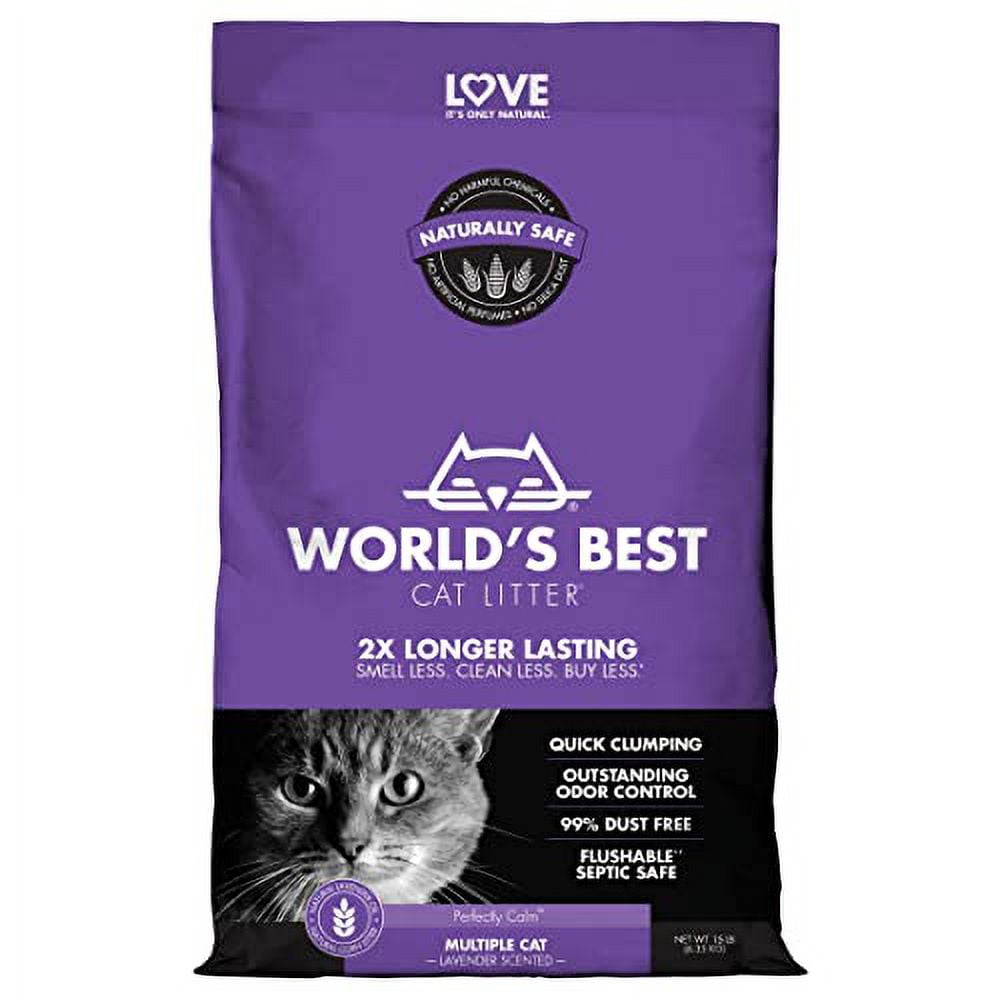 Best cat litter at walmart discount