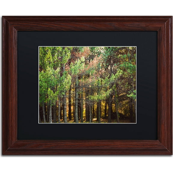 Trademark Fine Art "Summer Tree Line" Canvas Art by Jason Shaffer, Black Matte, Wood Frame