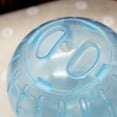 thumbnail image 3 of Ludlz Silent Hamster Mini Running Activity Exercise Ball 4 inch Toy Transparent Hamster Ball Dog Special Toy Ball Small Animals Cage Accessories, 3 of 3