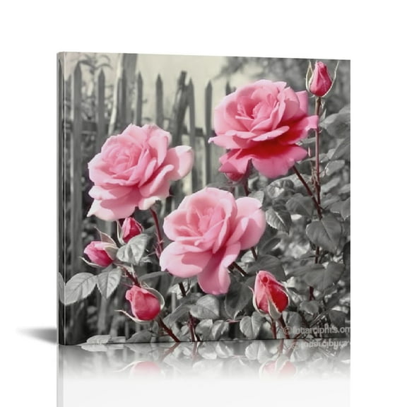 JRXY Pink Rose Flower Decor Wall Art Floral Paintings Prints Black and White Canvas Decoration for Bathroom Bedroom 16"x6" 12x12 in