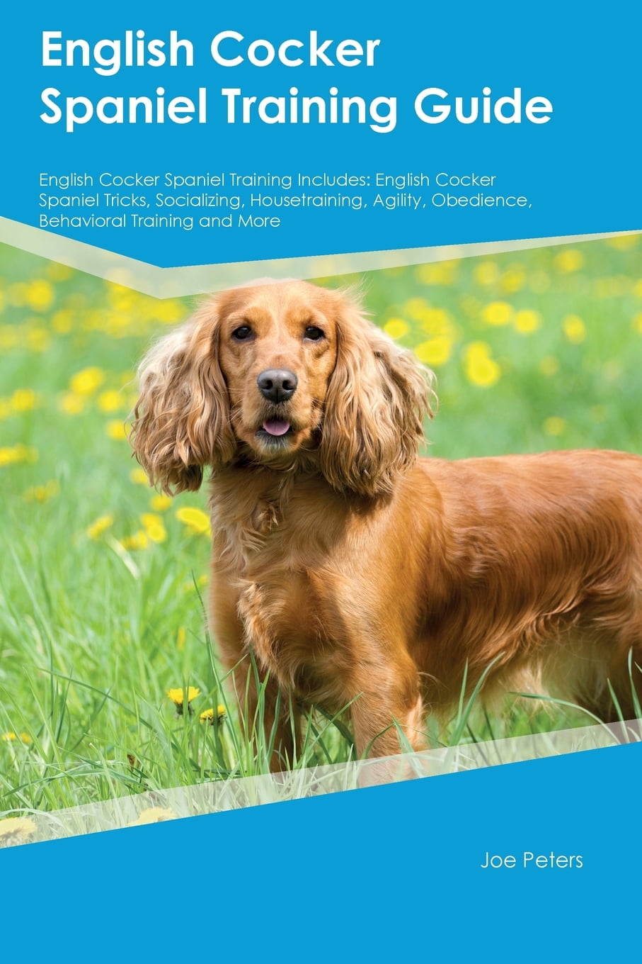English Cocker Spaniel Training Guide English Cocker Spaniel Training