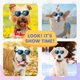 thumbnail image 4 of Gafas de sol para perros pequeños Gafas para mascotas Protección UV Hea, 4 of 5