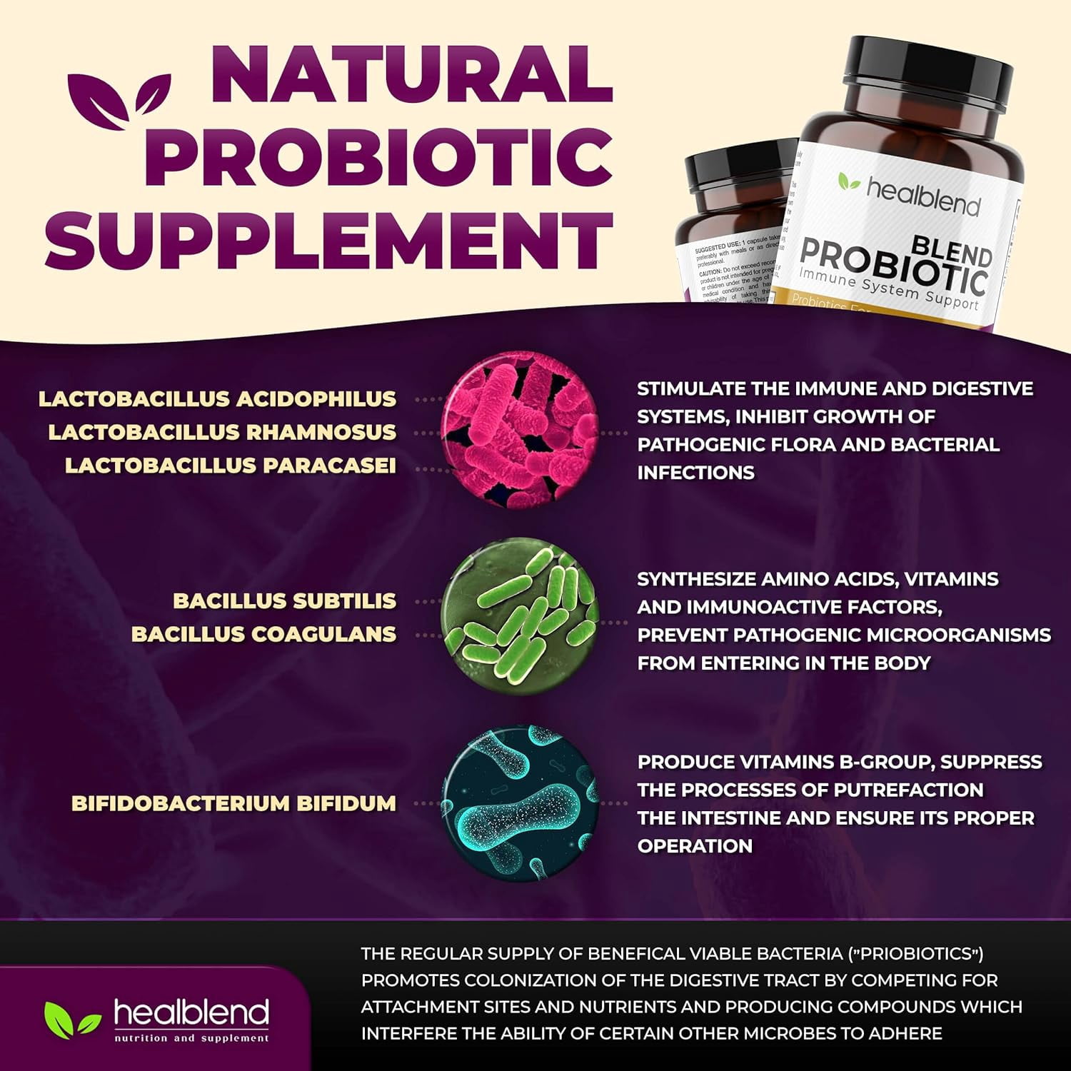 Healblend Blend Probiotic Supplement 750 Million CFU - 6 Strains Probiotics, Supports Immune, Digestive & Gut Health for Women & Men 3 - Pack