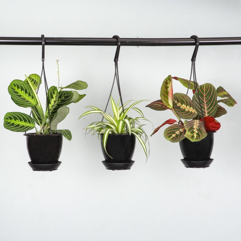 indoor plants stand Belleze 63" Indoor Plant Stand with Grow Lights