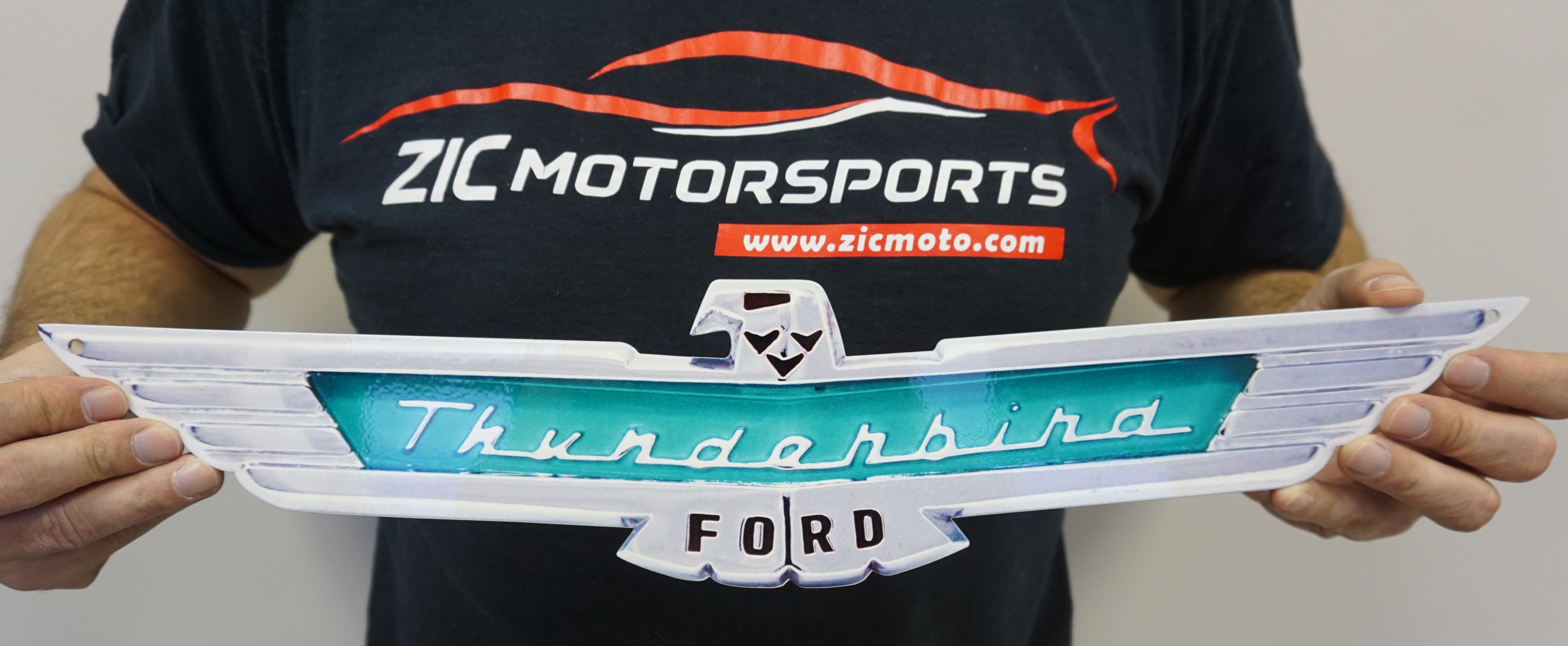 Ford Thunderbird 3D Black Stainless Steel License Plate Frame – IPick Image, LLC