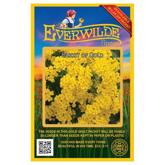 Everwilde Farms 2000 Basket of Gold Flower Seeds, Mediterranean Medical Use