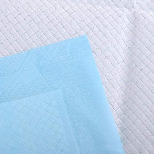 Platinum Care Pads Disposable Pet Training Puppy Pads Size 17x24 Case of 300