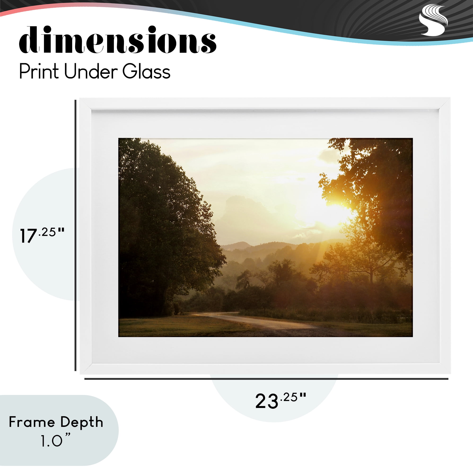 Stupell Industries Golden Morning Between Trees White Framed Print Under Glass, design by Gail Peck