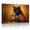 D, variant on XaaKee Canvas Wall Art Noir Feline Black Cat Regal Pet Portrait Prints Inner Framed 18*12Inch