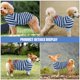 thumbnail image 4 of unbranded Ropa Para Mascotas Camisa Azul De Transpirable Ideal Para Perro Pequeño, 4 of 8