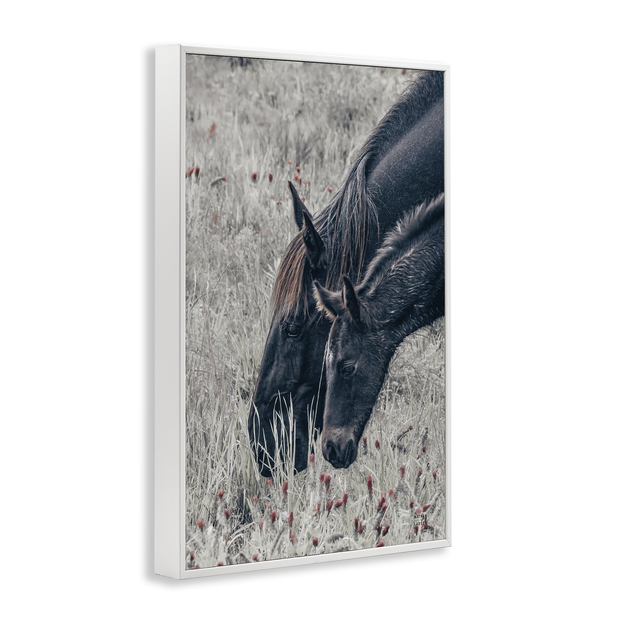 Stupell Industries New Graze Horses in Meadow White Framed Giclee Art, design by Nathan Larson