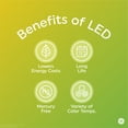 thumbnail image 5 of GE Soft White LED Decorative Light Bulbs, 25 Watt Eqv, 13yr, 1pk, 5 of 7