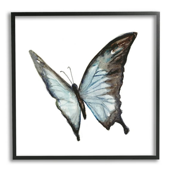 Stupell Industries Ulysses Butterfly Children's Nursery Insect Watercolor Painting, 12 x 12,Design by Fox Hollow Studios