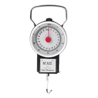 dial hanging scale 
