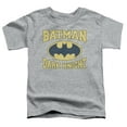 thumbnail image 1 of Batman Dark Knight Jersey S/S Toddler T-Shirt Athletic Heather, 1 of 1