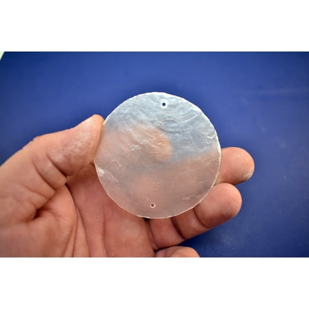 Capiz Shell - 25 Capiz Shells White Round Cut 2.5