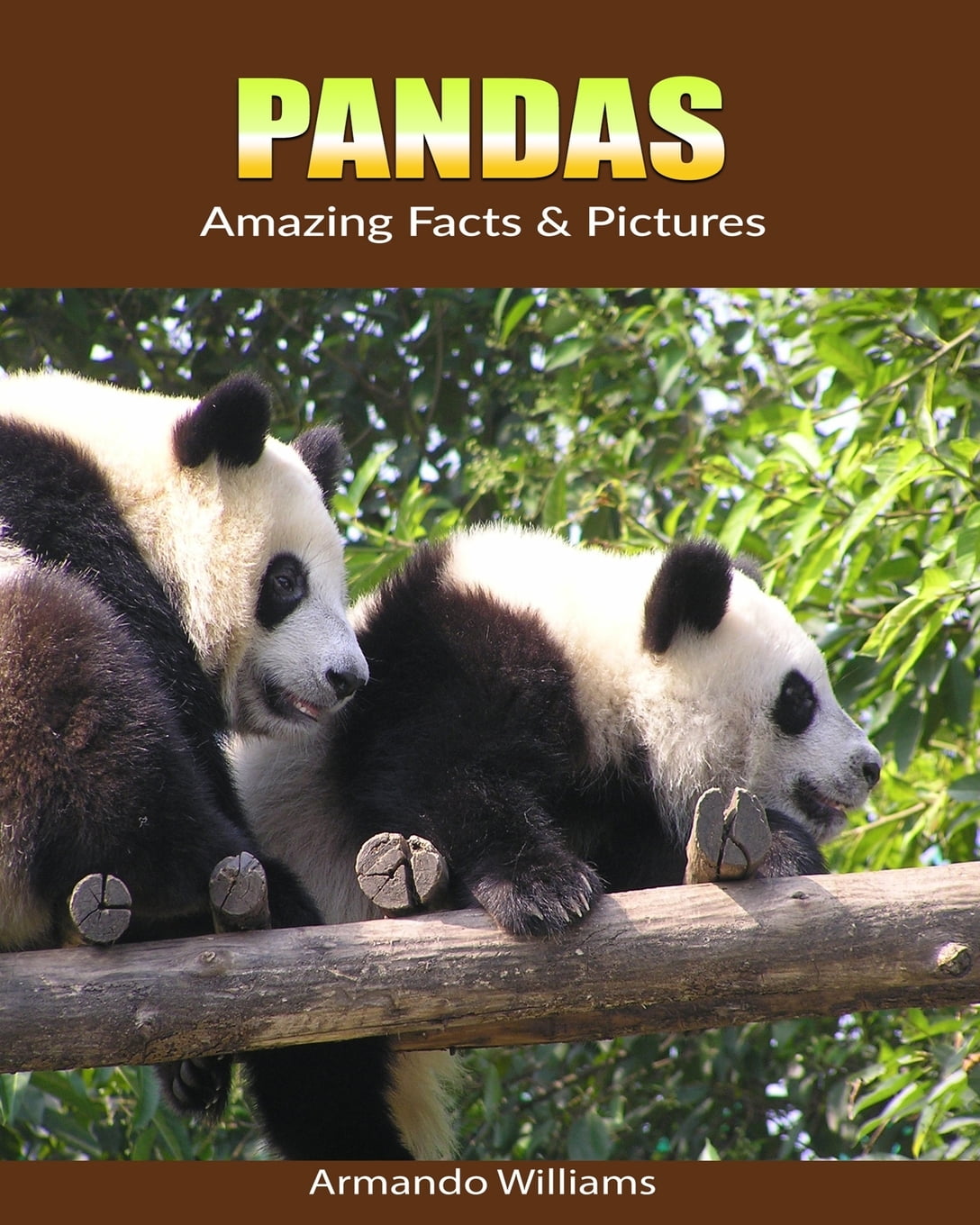 Pandas Amazing Facts Pictures Walmart Walmart Pandas Amazing Facts Pictures Walmart Walmart