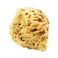 thumbnail image 2 of 3" Sea Sponge, 2 of 8