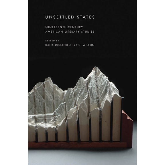 America and the Long 19th Century Unsettled States: Nineteenth-Century American Literary Studies, Book 13, (Paperback)