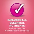 thumbnail image 6 of Friskies Pate Salmon Dinner Wet Cat Food, 5.5 OZ , 24 Count, 6 of 6
