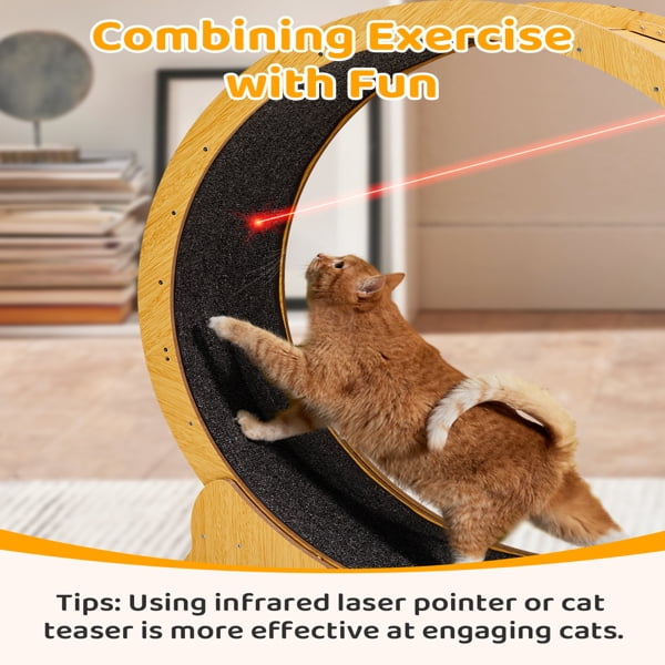 Cat Wheel Exerciser for Indoor Cats, 39.4in Large Cat Exercise Wheel for Running Silent, Cat Treadmill with Safety Lock for Cat's Fitness and Health