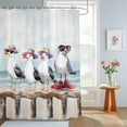 thumbnail image 2 of Bathroom Shower Curtain Watercolor Funny Seagull Bird Waterproof Shower Curtains with Hooks, Ocean Beach Coast Scene Bath Curtains Bathtub Curtain Home Decor 36x72in, 2 of 9