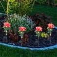 thumbnail image 6 of sruoe Outdoor Patio Garden Lights Decor, Stake Lamp, Waterproof Solar Lights Outdoor, Ground Lights Decoration, Flowers Stake Lights for Outside Yard Lawn Ornaments, 6 of 7