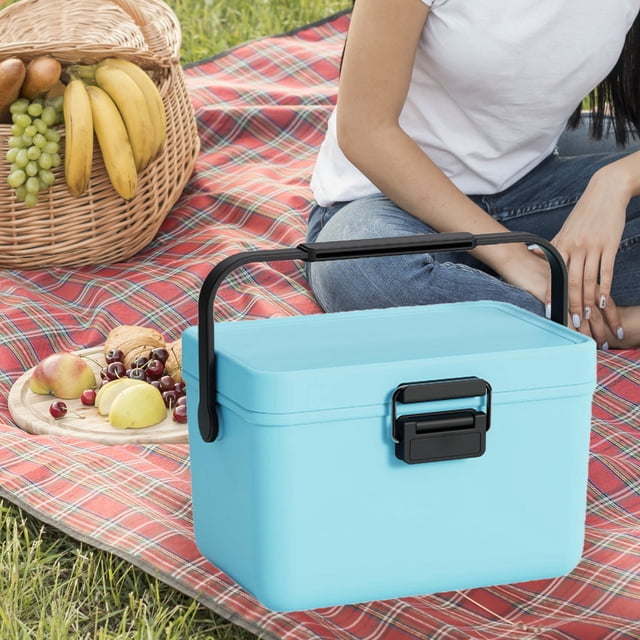 Homerr Boîte Réfrigérée pour Voiture Mini Refroidisseur pour Boissons Mini Refroidisseur 4qt Isolé Petit Refroidisseur Dur Portable avec Poignée Étanche Mini Refroidisseur Boîte à Lunch pour Voiture Camping Pique-Nique