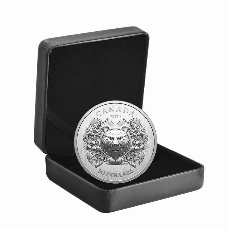 2025 Canada 70 Gram Heraldic Bear Silver Coin .9999 Fine - Walmart.com